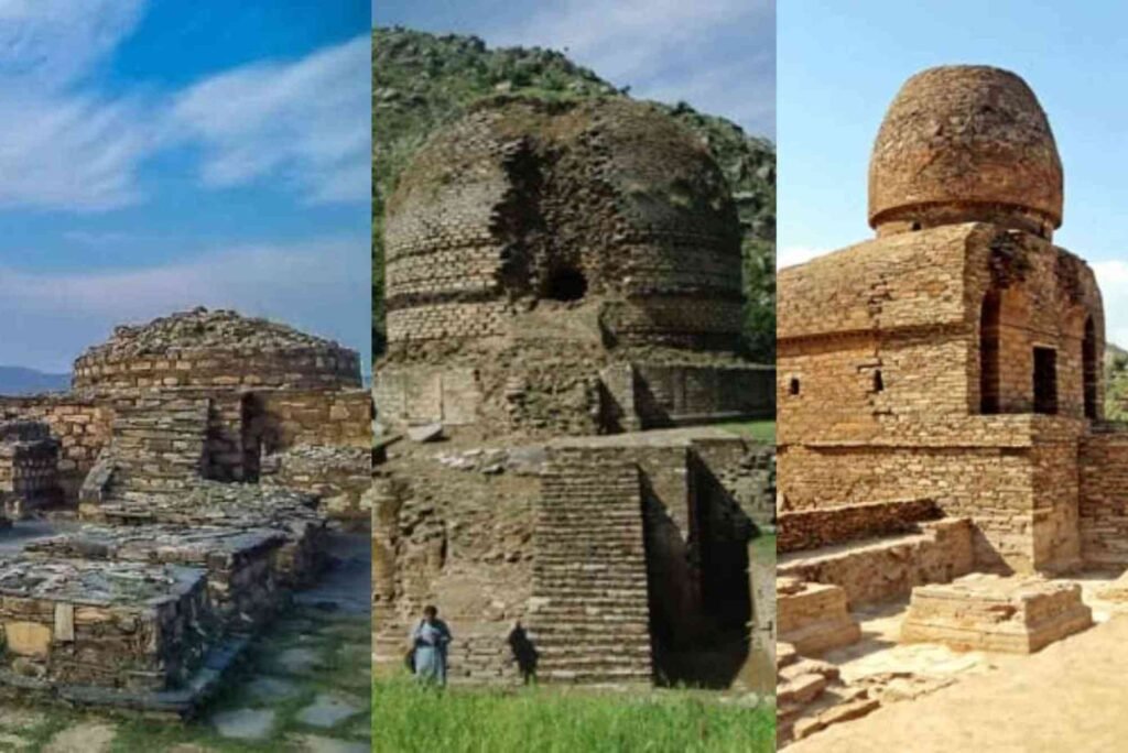 كلية السياحة والآثار كلية السياحة والآثار