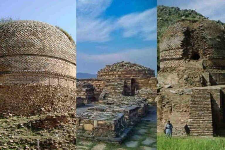 كلية السياحة والآثار