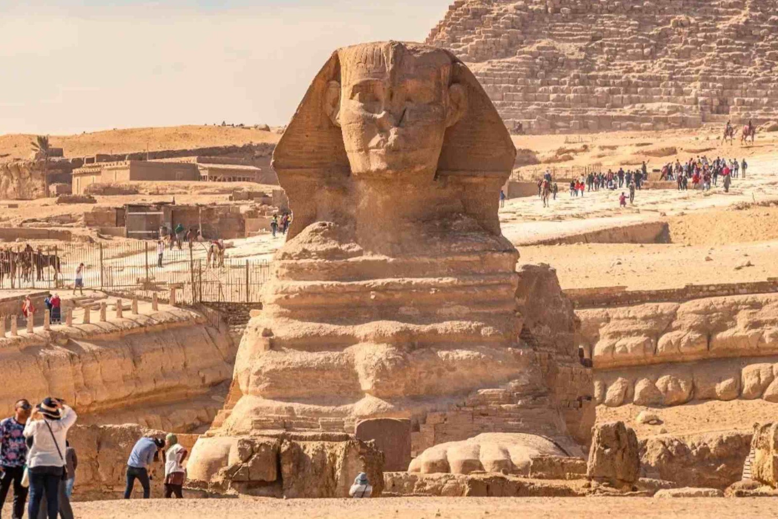شركة ابو الهول للسياحة