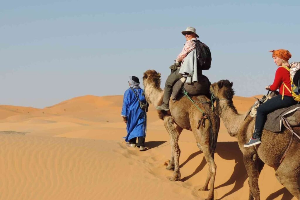 شركة البهجة للسياحة