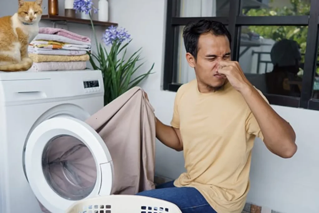Dryer Produces Strange Smell – Repair Guide
