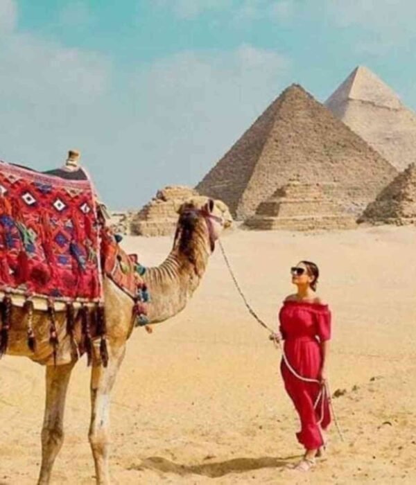 الصرح للسياحة والسفر