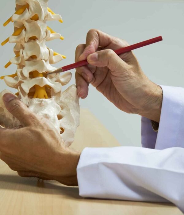 Meta Title رعاية العظام صحة قوية وحركة طبيعية في 2025