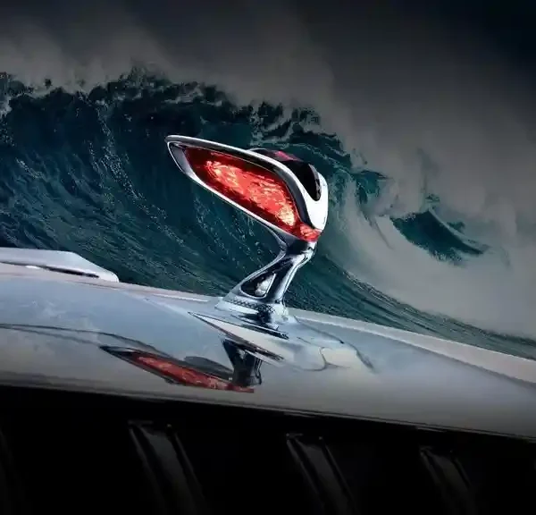 التفتح من أجل أصدقاء العالم: العلامة التجارية الفاخرة للغاية من هونغتشي - Golden Sunflower تبحر نحو العالم