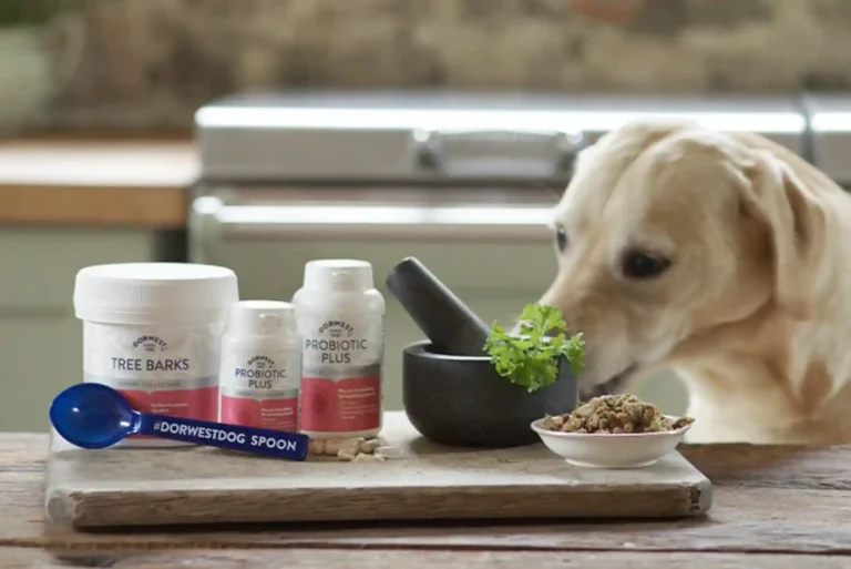 Probiotics for Dogs: Best Strains for Gut Health, Loose Stools, and Antibiotic Recovery